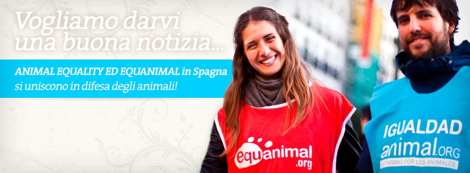 testimonial animal equality spagna