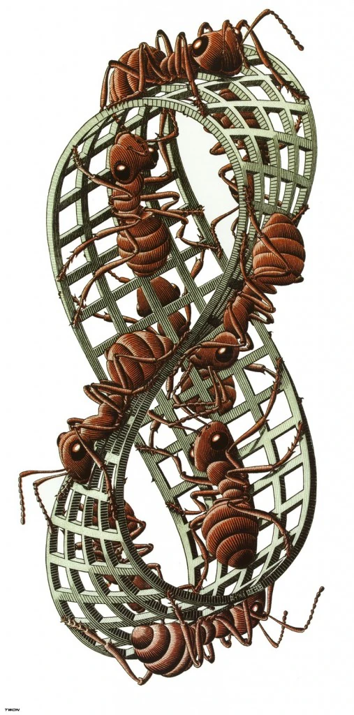 moebius-strip-ii
