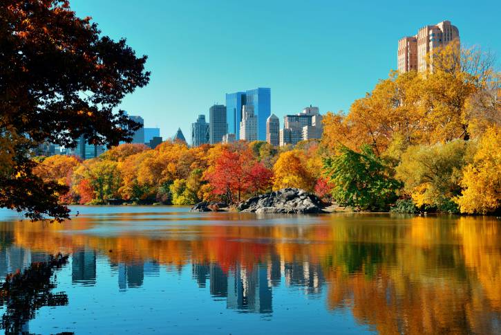 Stati Uniti. New York. Il Central Park